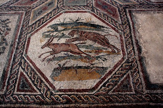 Villa romana - particolare mosaico -